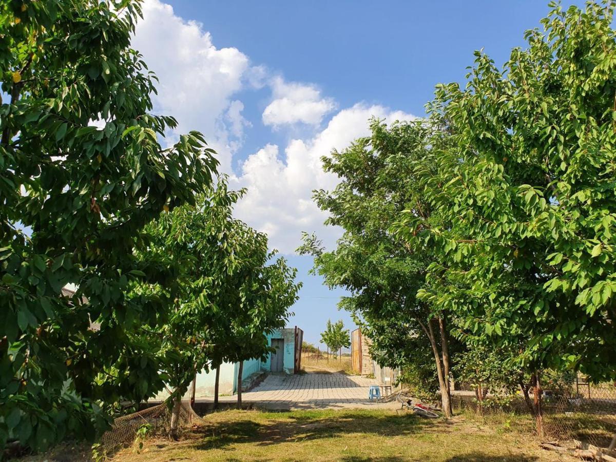Vila La Casa De Habel Quba Exteriér fotografie